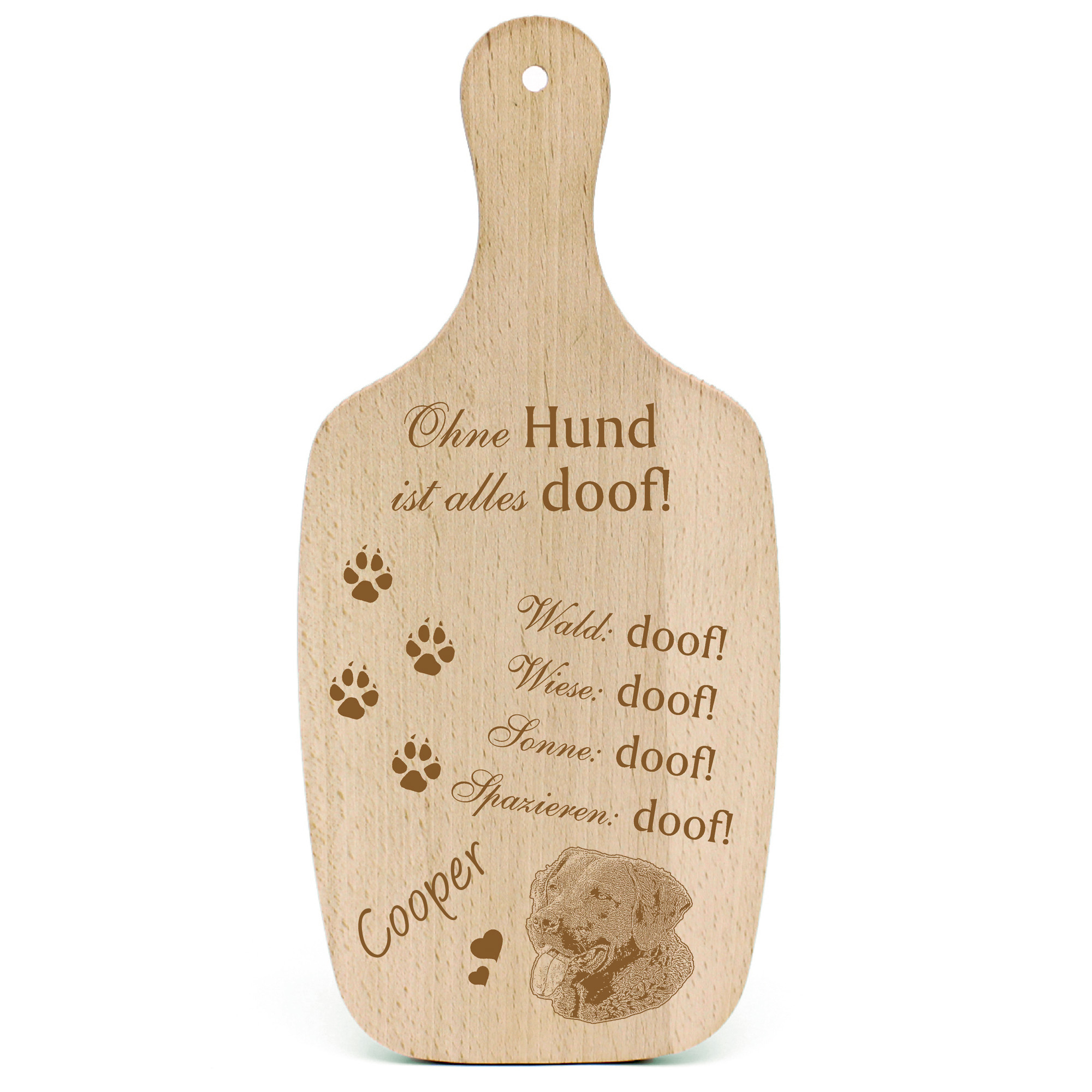 Deko Hundeschild Geschenk Hund Chesapeake Bay Retriever  -...alles Doof-