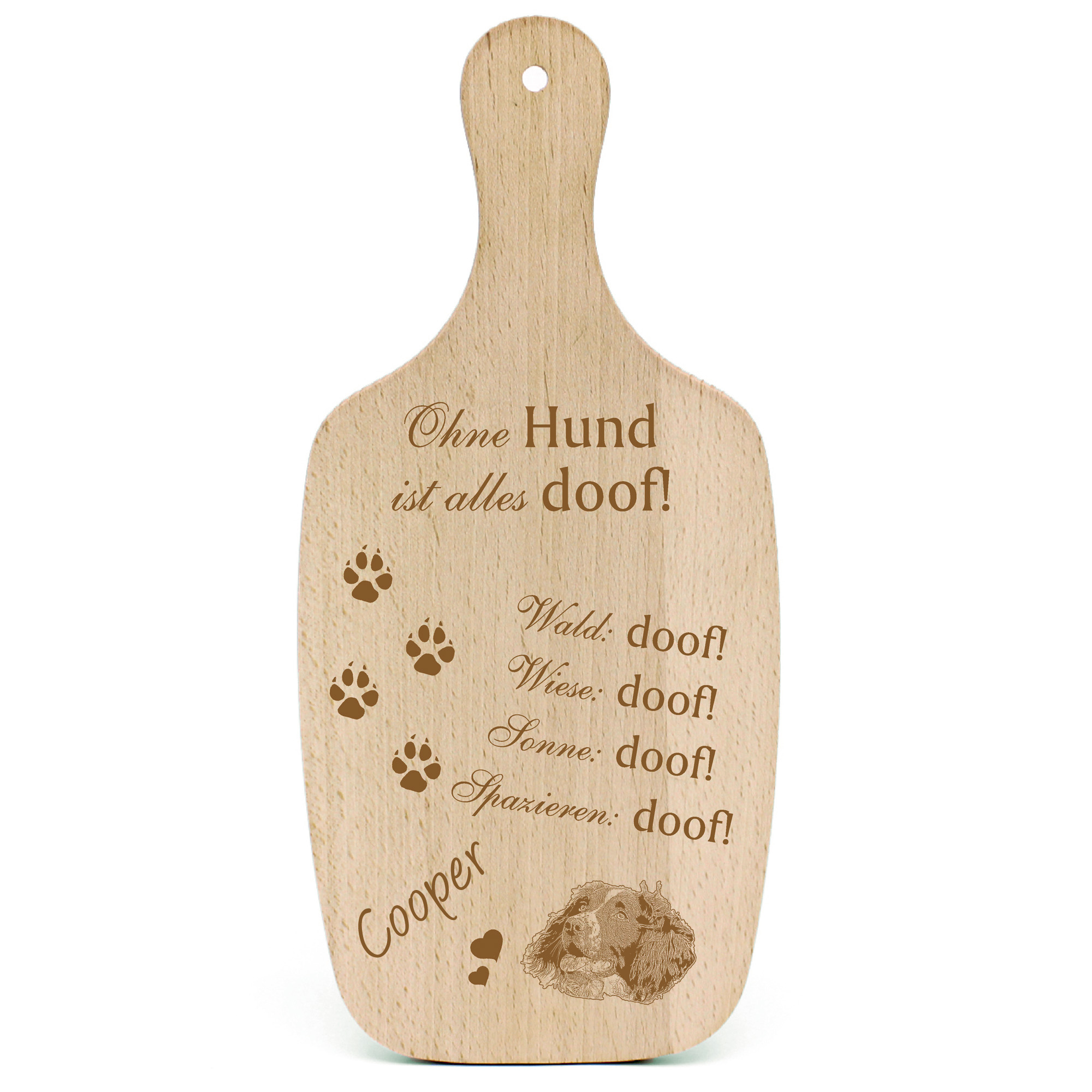 Deko Hundeschild Geschenk Hund Englische Springer Spaniel  -...alles Doof-