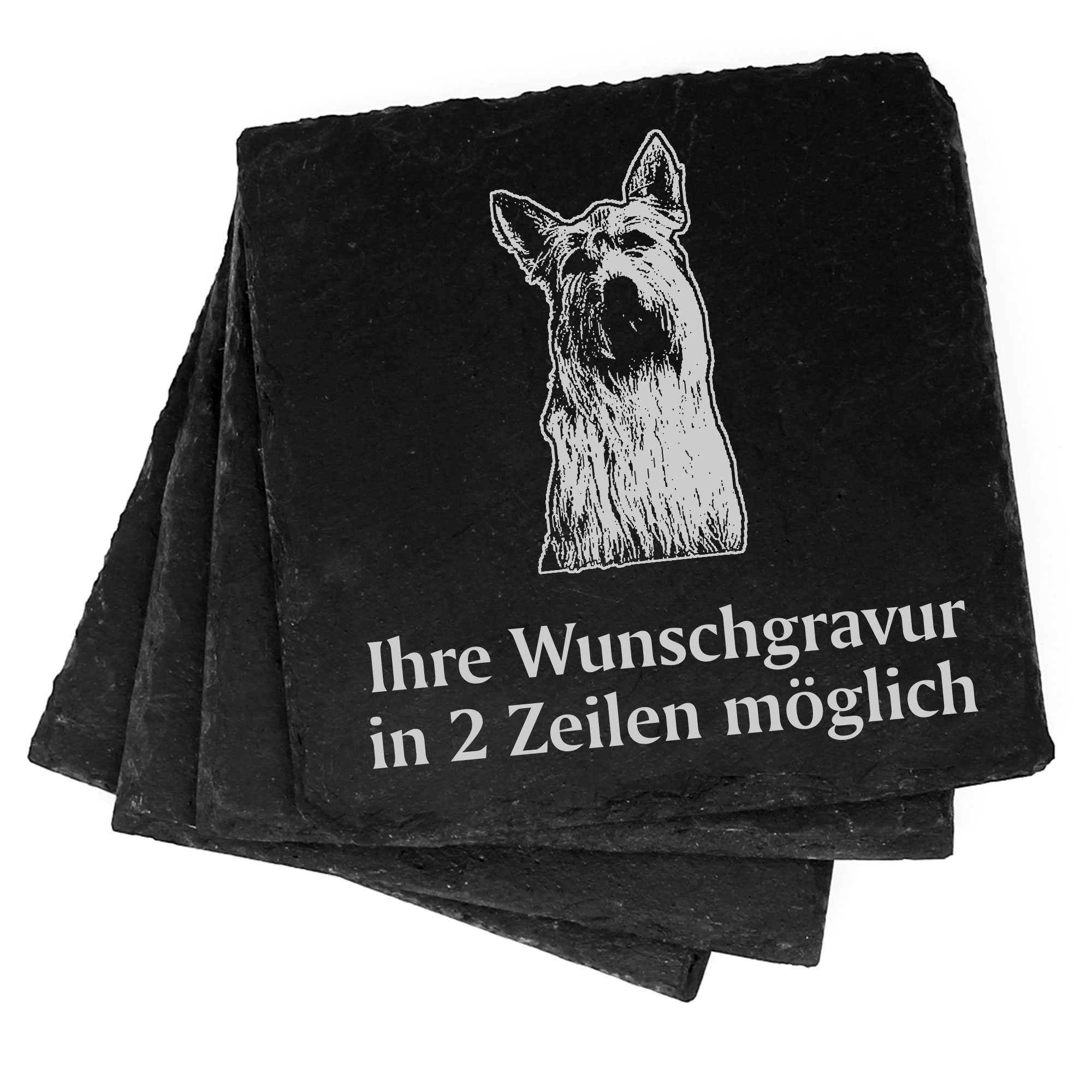 4x Berger de Picardie Sheperd Deko Schiefer Untersetzer Wunschgravur Set - 11 x 11 cm