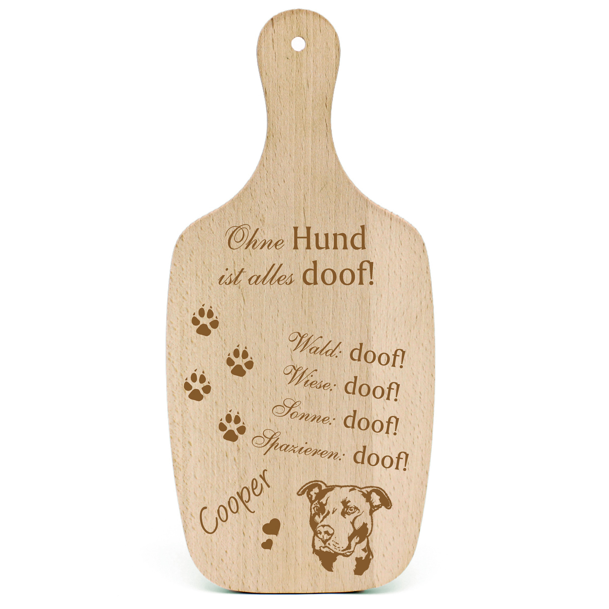 Deko Hundeschild Geschenk Hund American Pit Bull Terrier Kopf -...alles Doof-