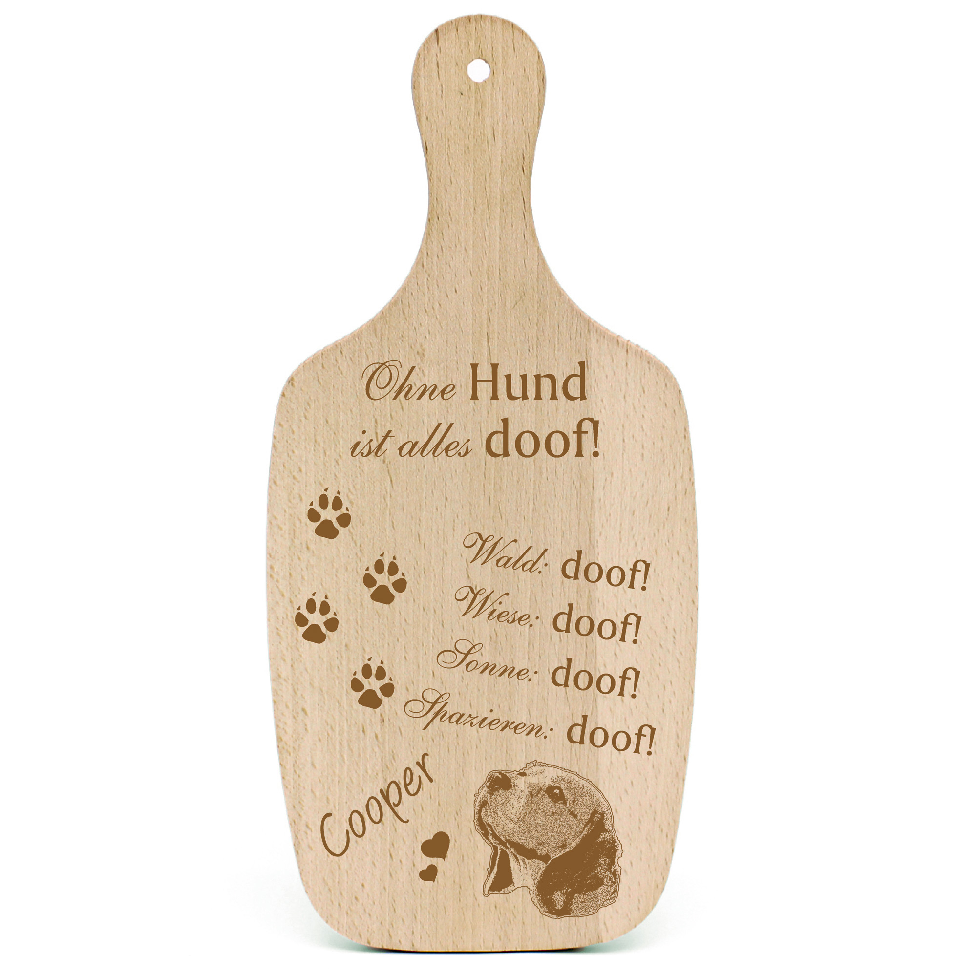 Deko Hundeschild Geschenk Hund Beagle Kopf -...alles Doof-