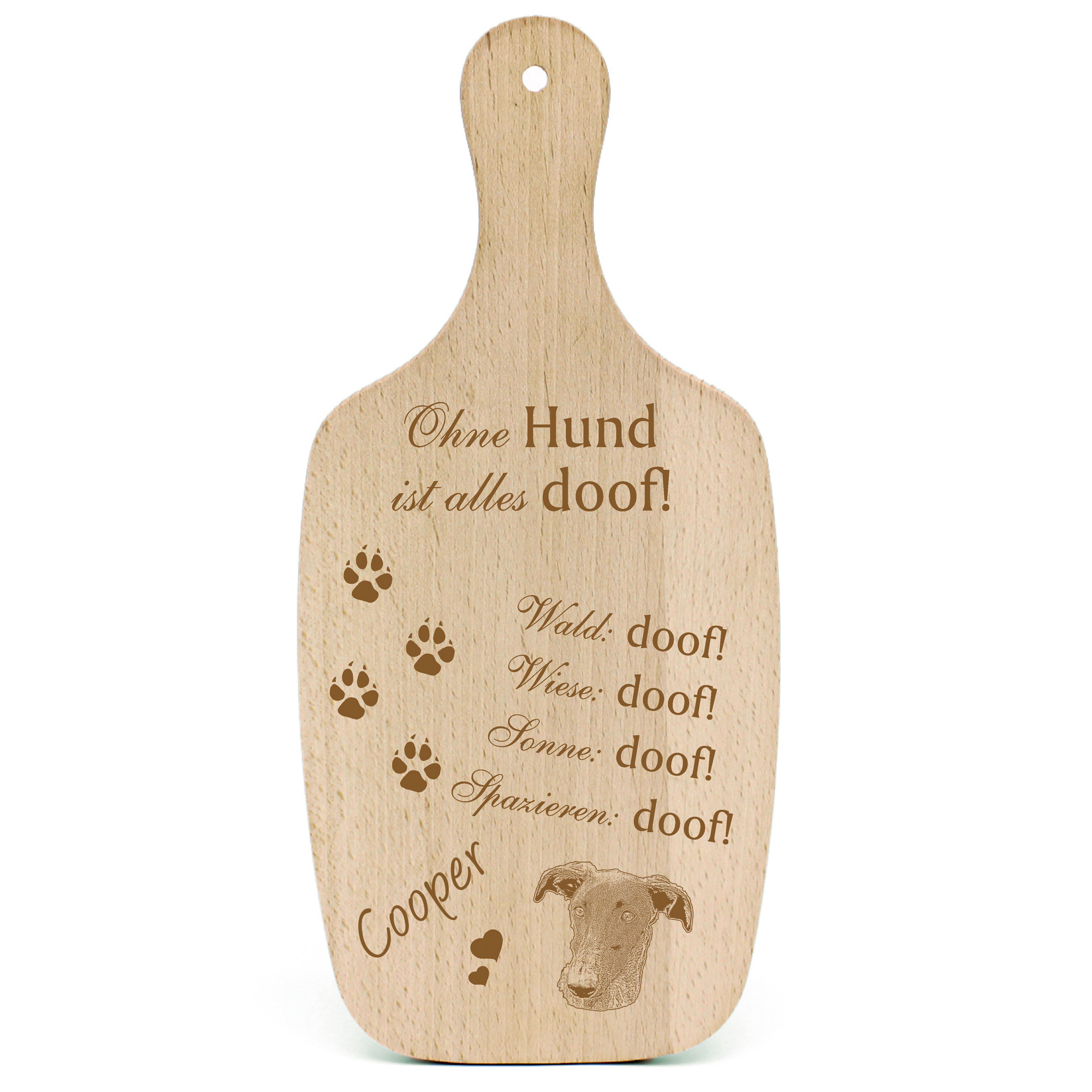 Deko Hundeschild Geschenk Hund Galgo Español Kopf -...alles Doof-