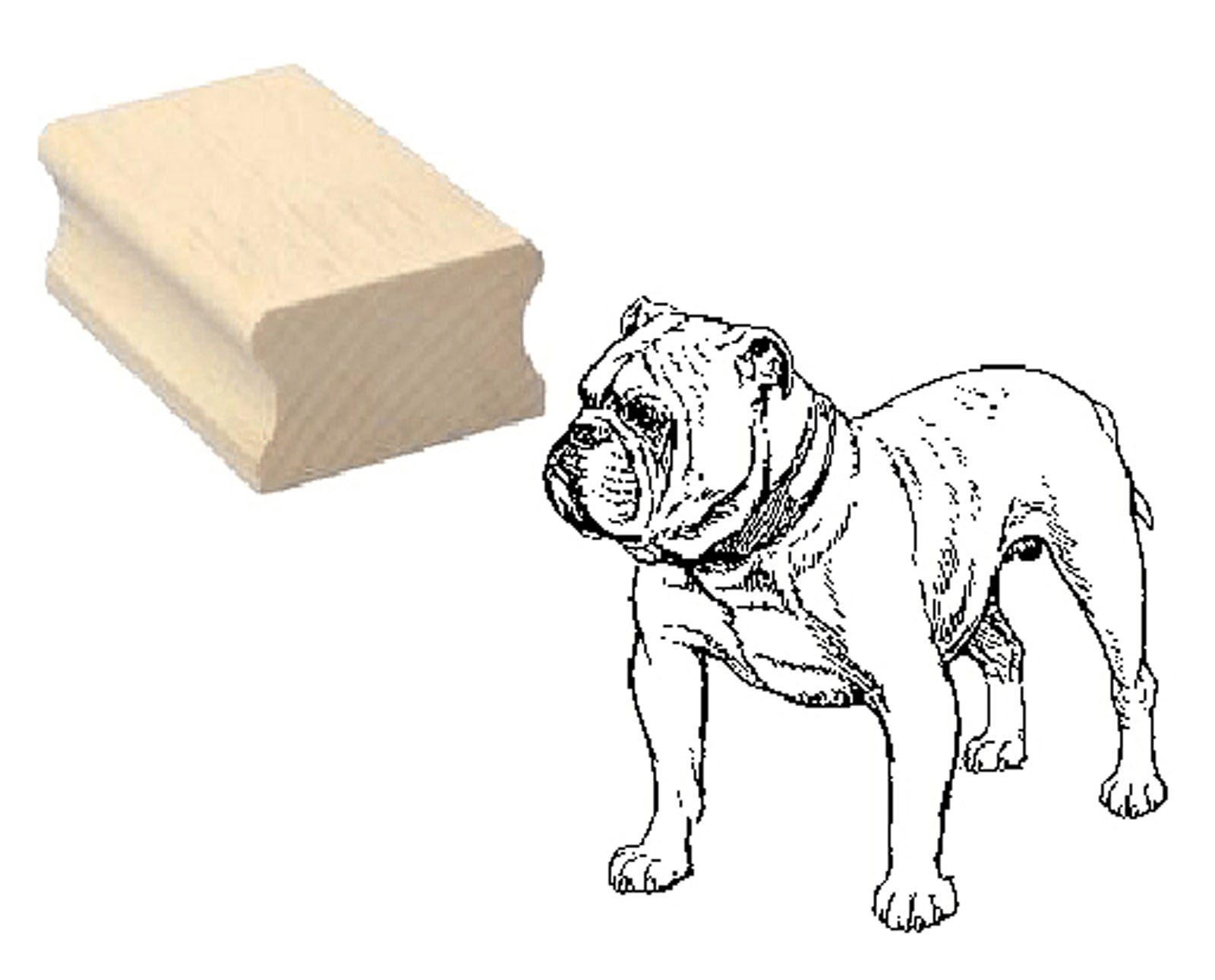 Motivstempel « ENGLISCHE BULLDOGGE 02 » Hund