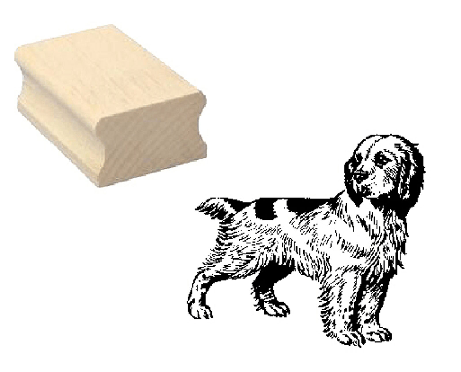 Motivstempel « CLUMBER SPANIEL » Hund