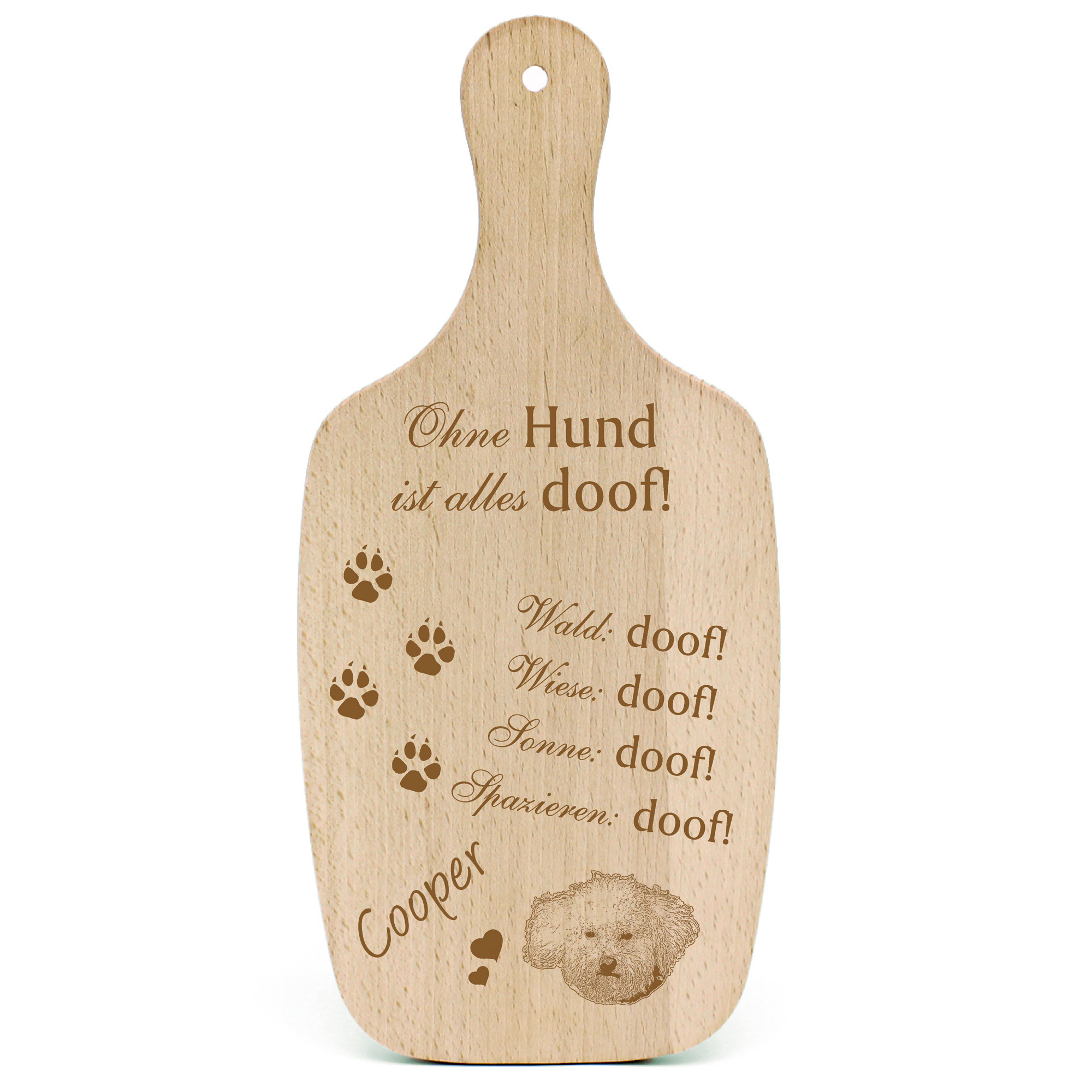 Deko Hundeschild Geschenk Hund Bologneser  -...alles Doof-