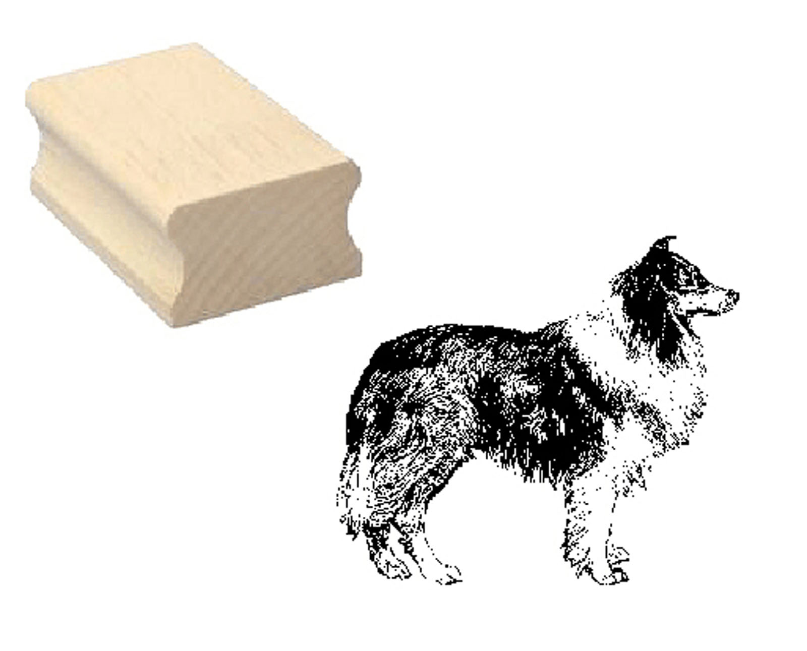 Motivstempel « COLLIE 02 » Hund