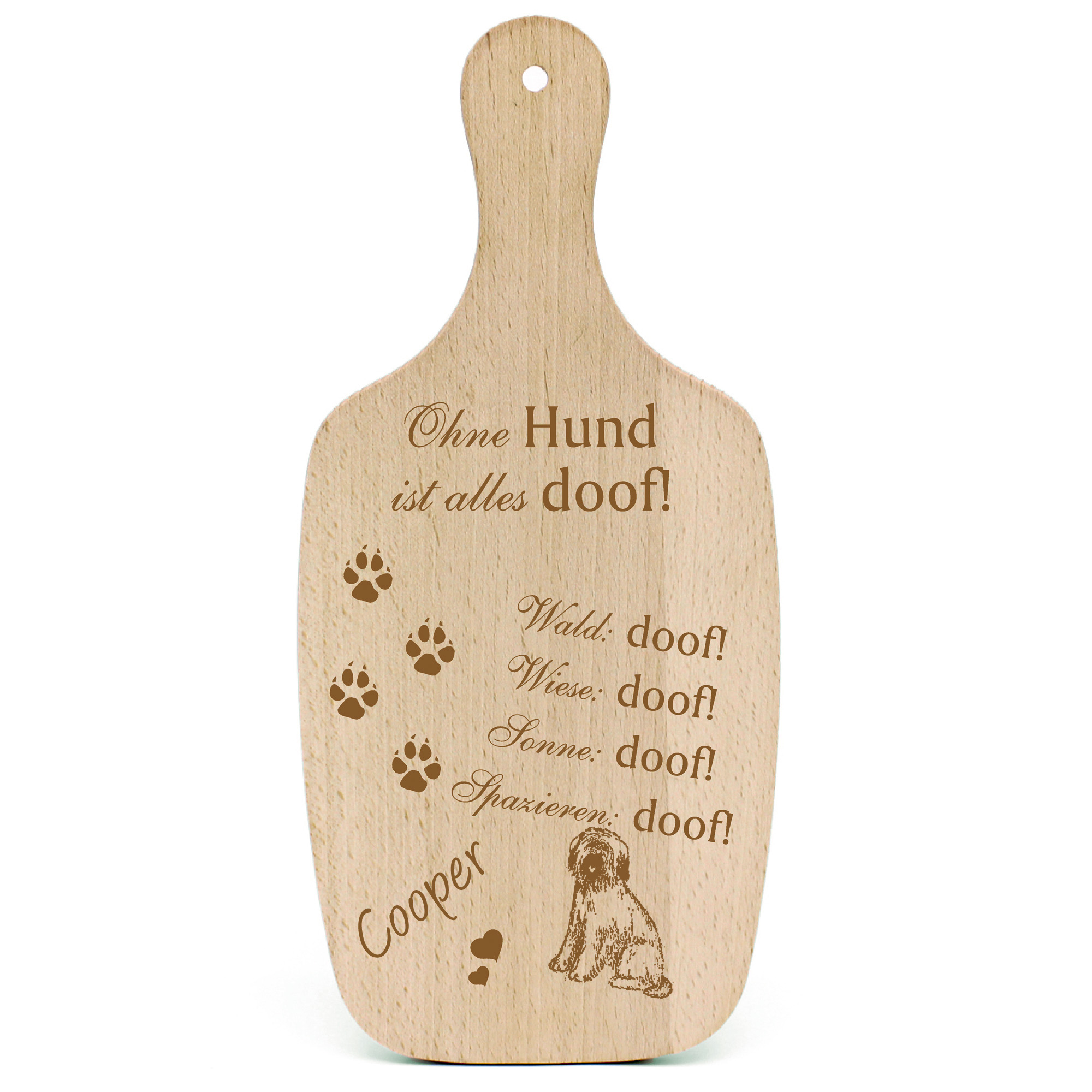 Deko Hundeschild Geschenk Hund Briard Hund -...alles Doof-