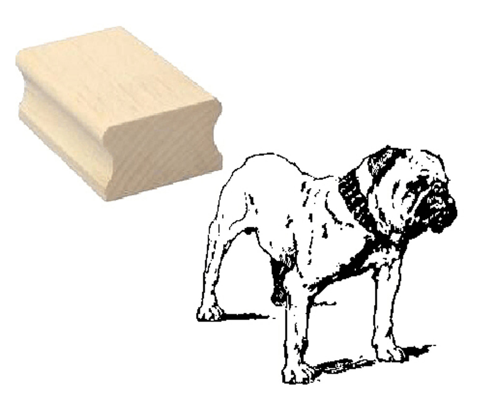 Motivstempel « ENGLISCHE BULLDOGGE 01 » Hund