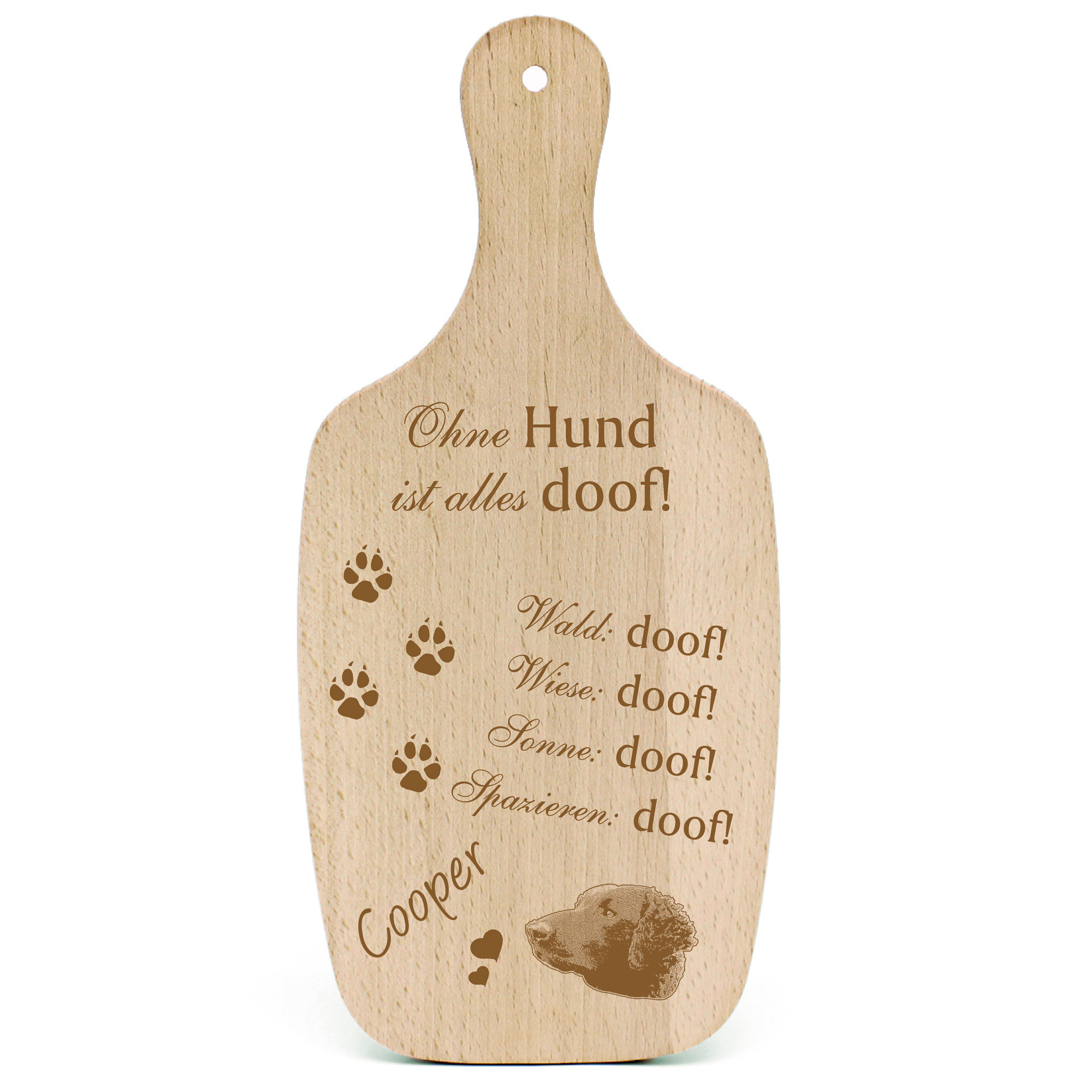 Deko Hundeschild Geschenk Hund Curly Coated Retriever  -...alles Doof-