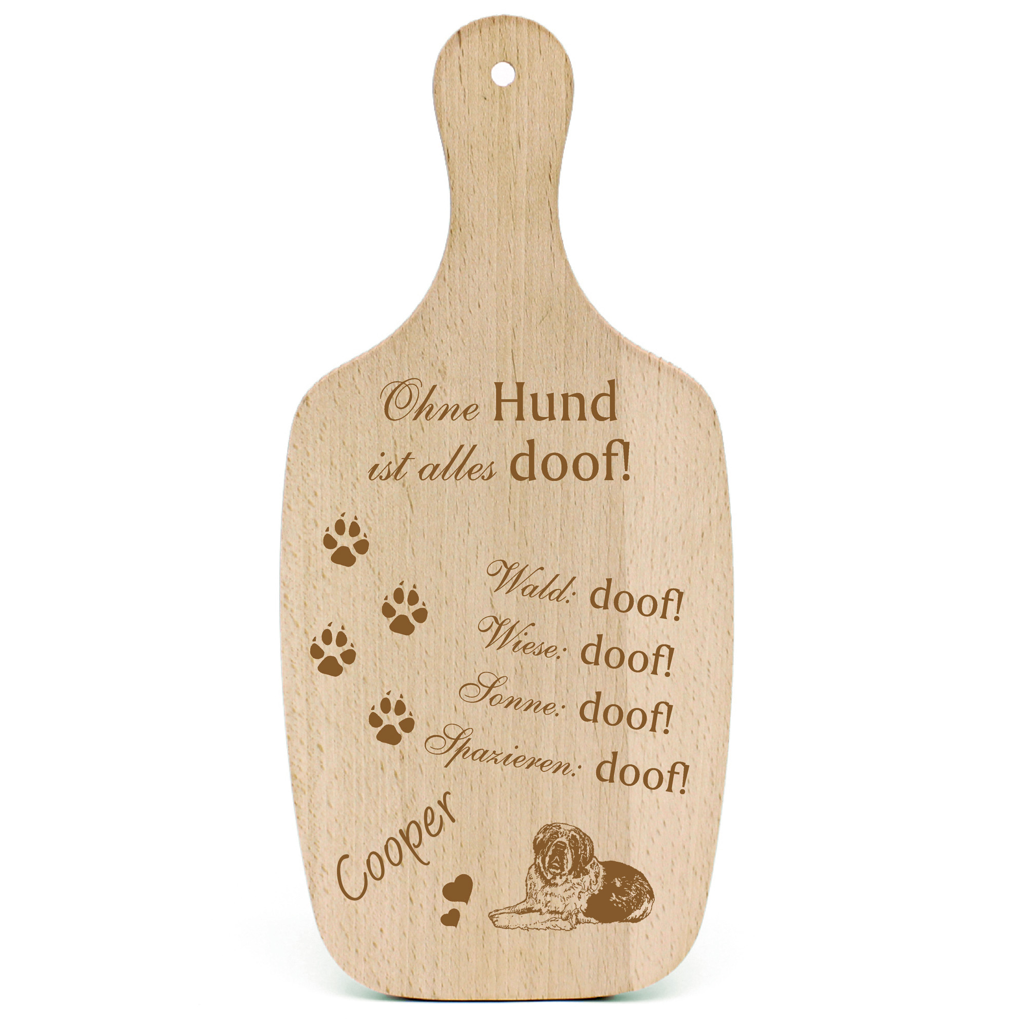 Deko Hundeschild Geschenk Hund Bernhardiner -...alles Doof-