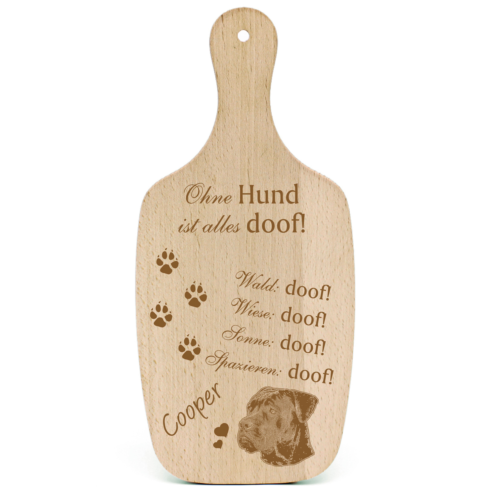 Deko Hundeschild Geschenk Hund Cane Corso  -...alles Doof-