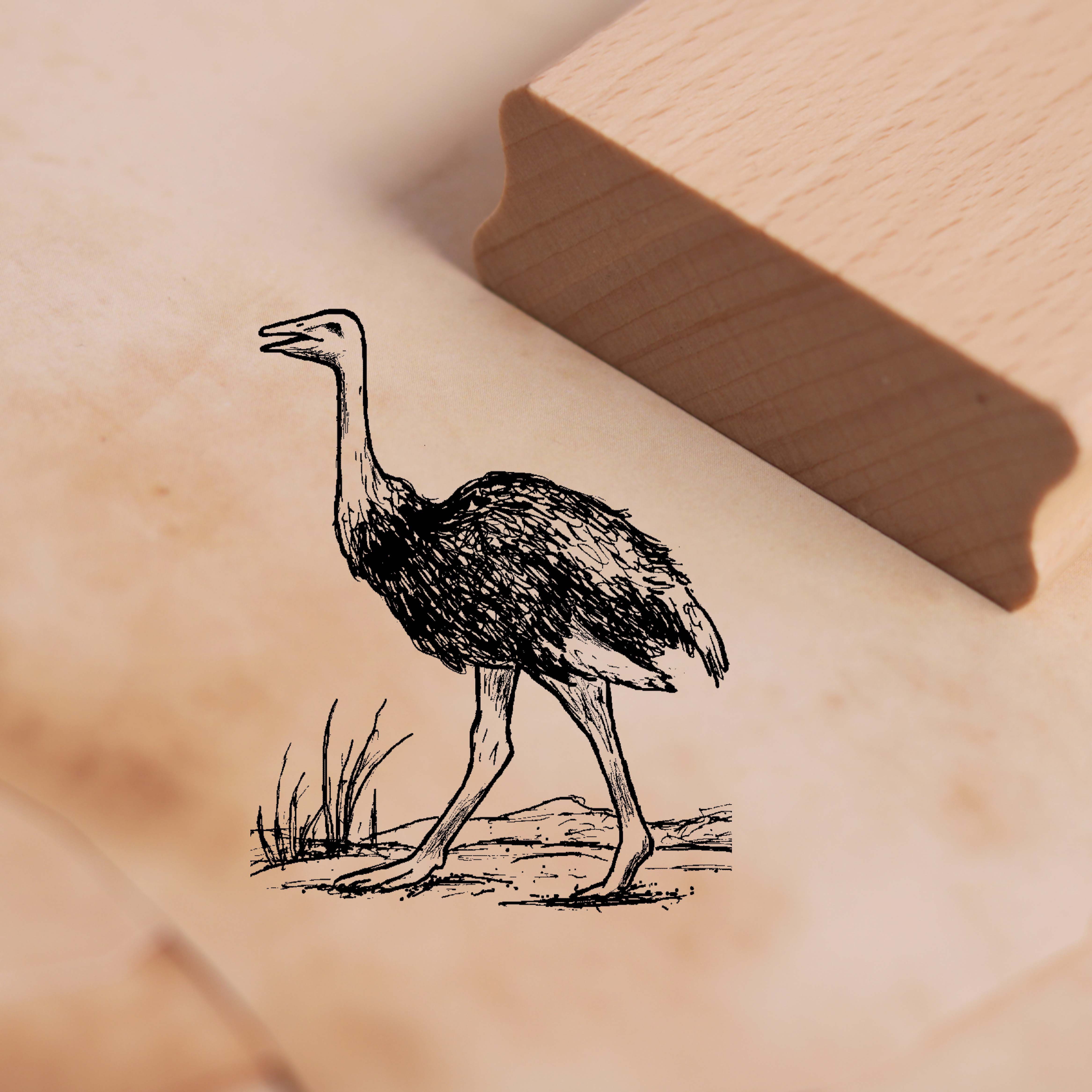 Motivstempel Strauß Natur Stempel Vogel 38 x 48 mm