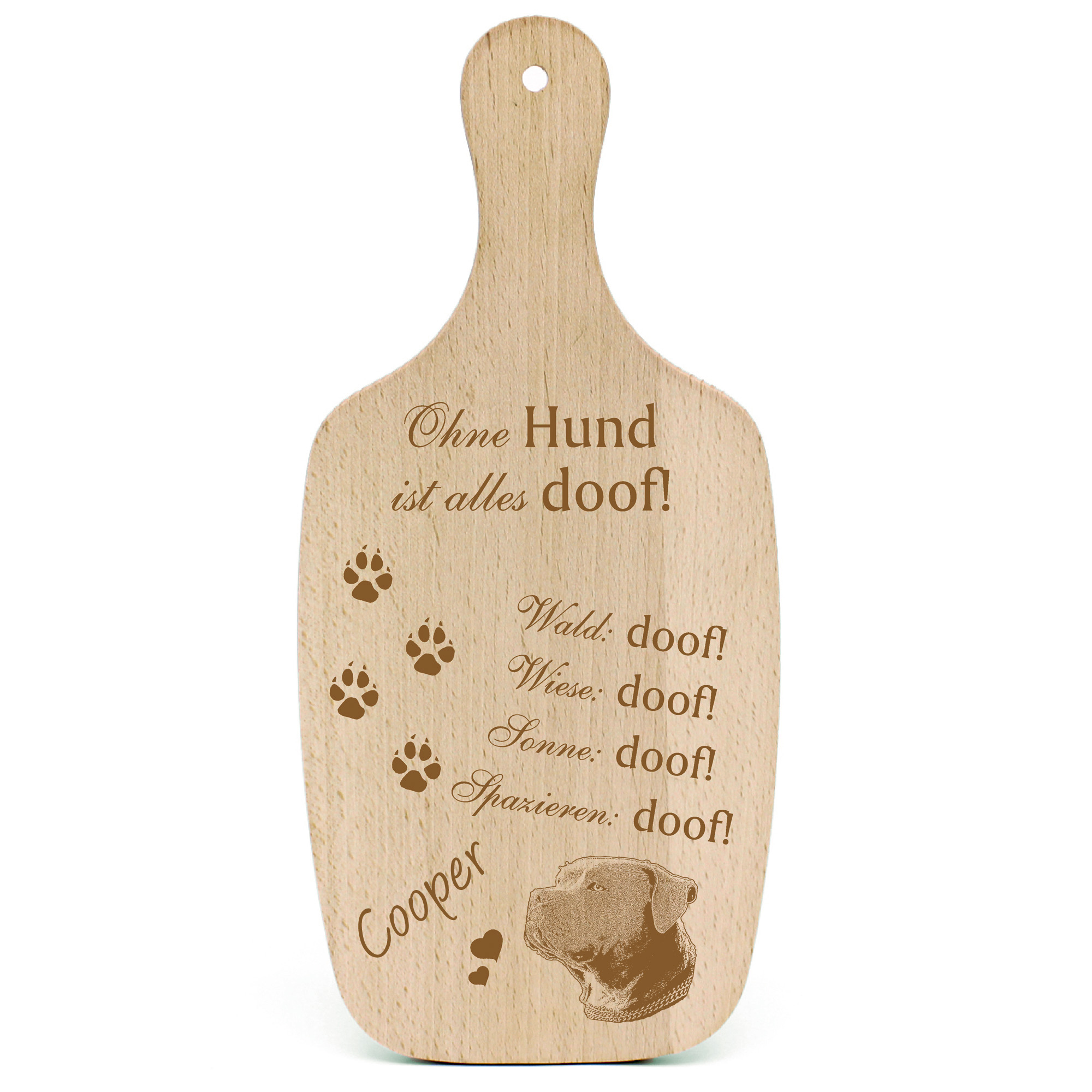 Deko Hundeschild Geschenk Hund American Bully  -...alles Doof-