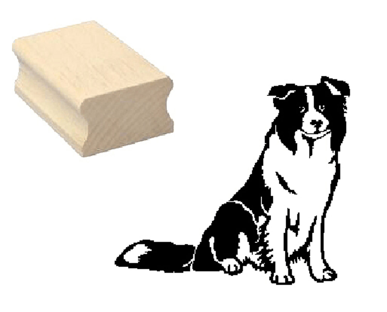 Motivstempel « BORDER COLLIE » Hund