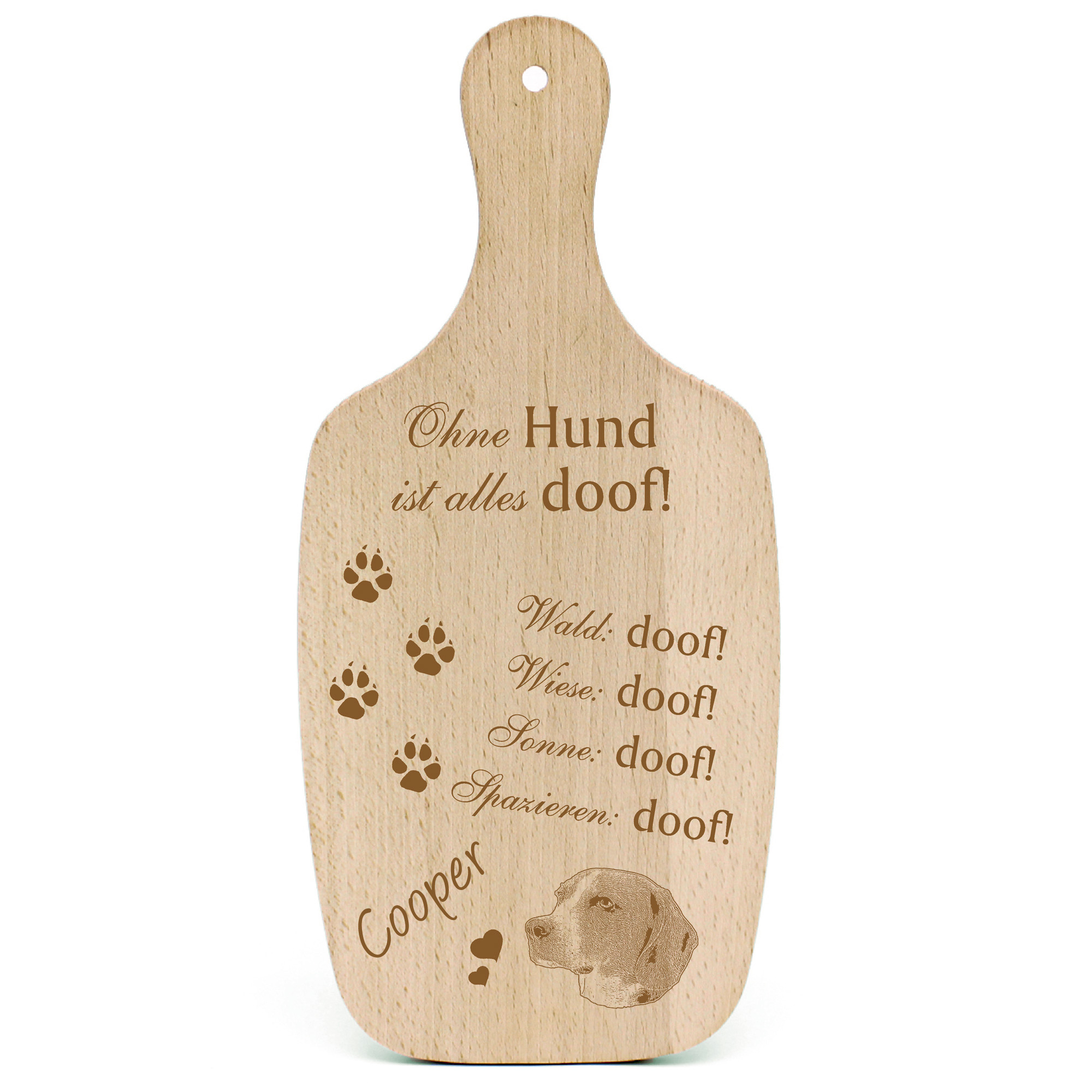 Deko Hundeschild Geschenk Hund American Foxhound  -...alles Doof-