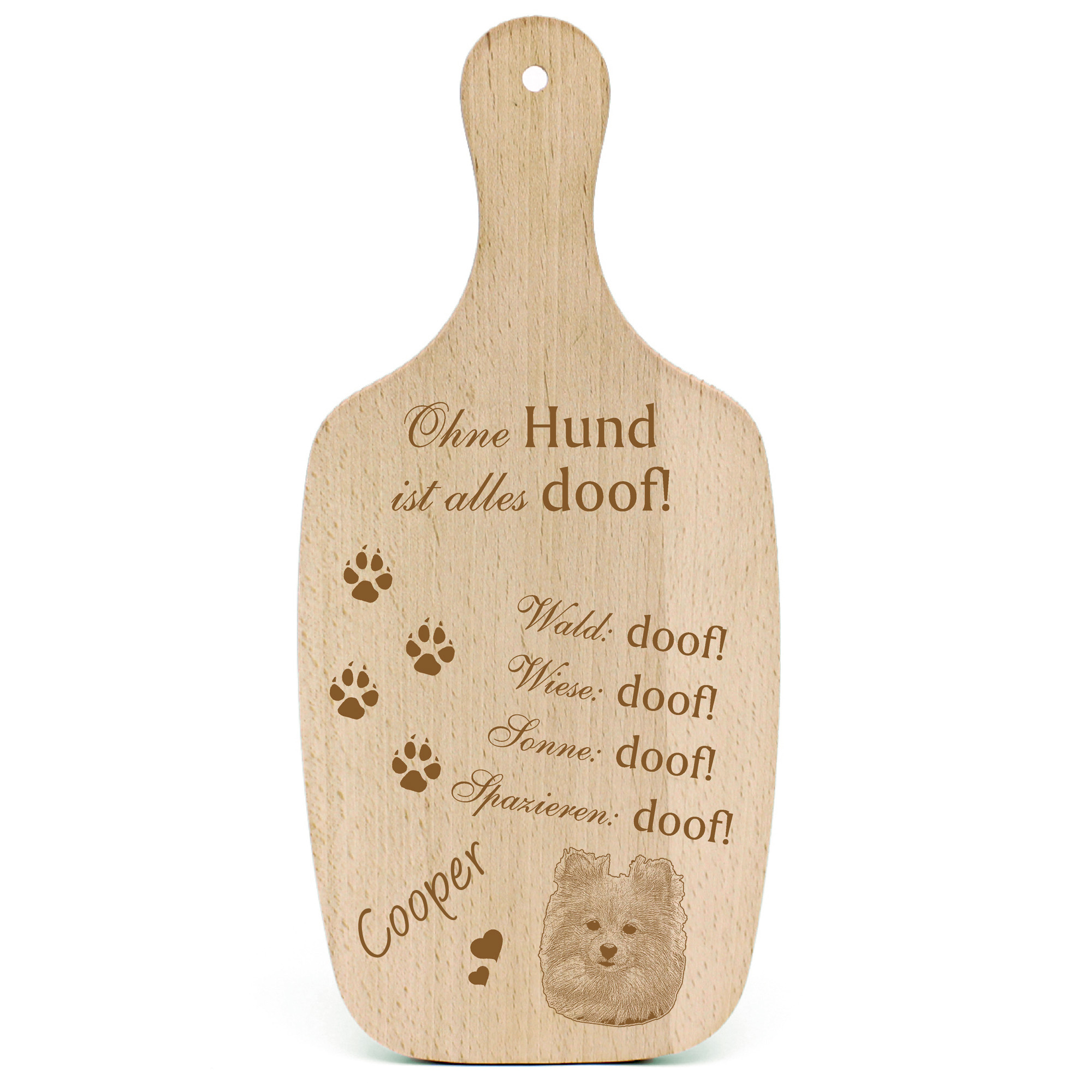 Deko Hundeschild Geschenk Hund Kleinspitz  -...alles Doof-