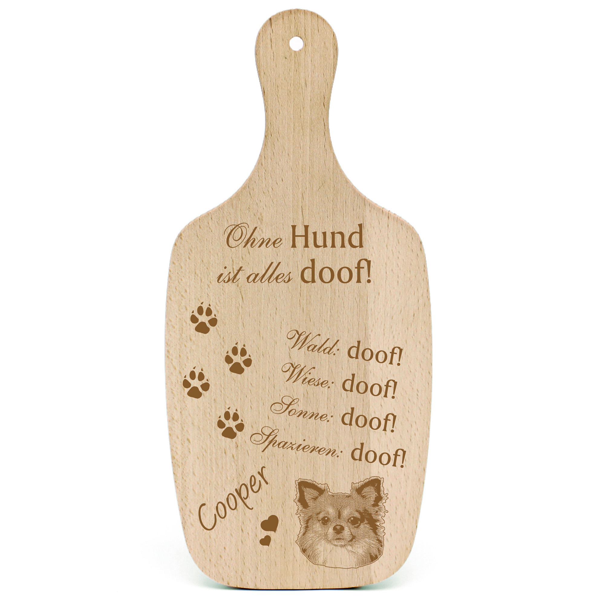 Deko Hundeschild Geschenk Hund Chihuahua Langhaar  -...alles Doof-