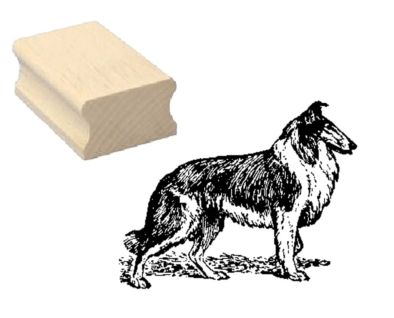 Motivstempel « COLLIE 01 » Hund