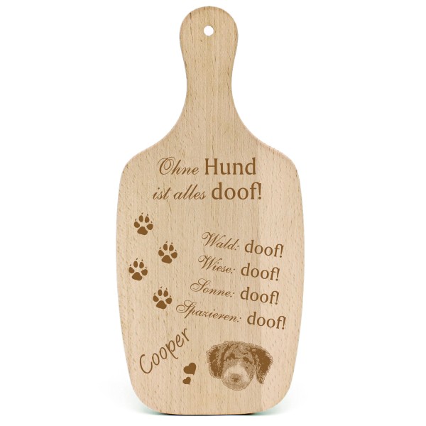 Deko Hundeschild Geschenk Hund Spanischer Wasserhund -...alles Doof-