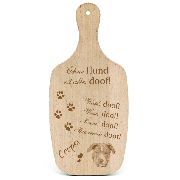 Deko Hundeschild Geschenk Hund American Pit Bull Terrier -...alles Doof-