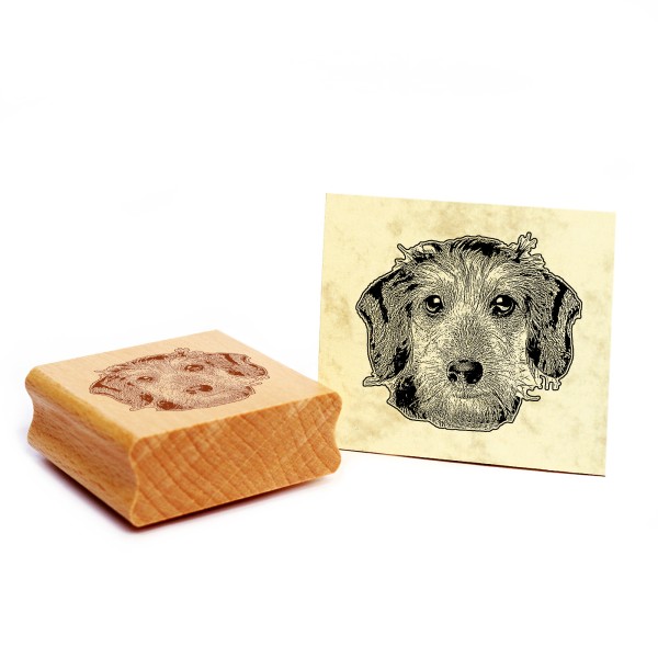 Motivstempel Dackel Langhaar Stempel Hund Holzstempel 48 x 44 mm