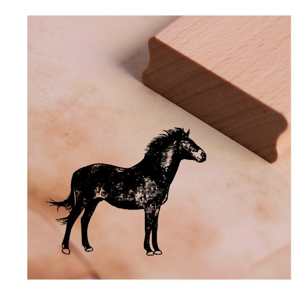 Motivstempel Brumby australisches Wildpferd Stempel Holzstempel Pferd Australien 48 x 48 mm