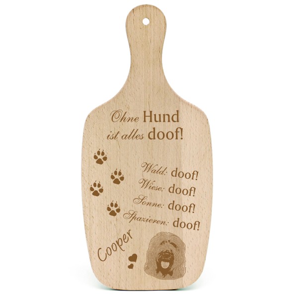 Deko Hundeschild Geschenk Hund Briard -...alles Doof-